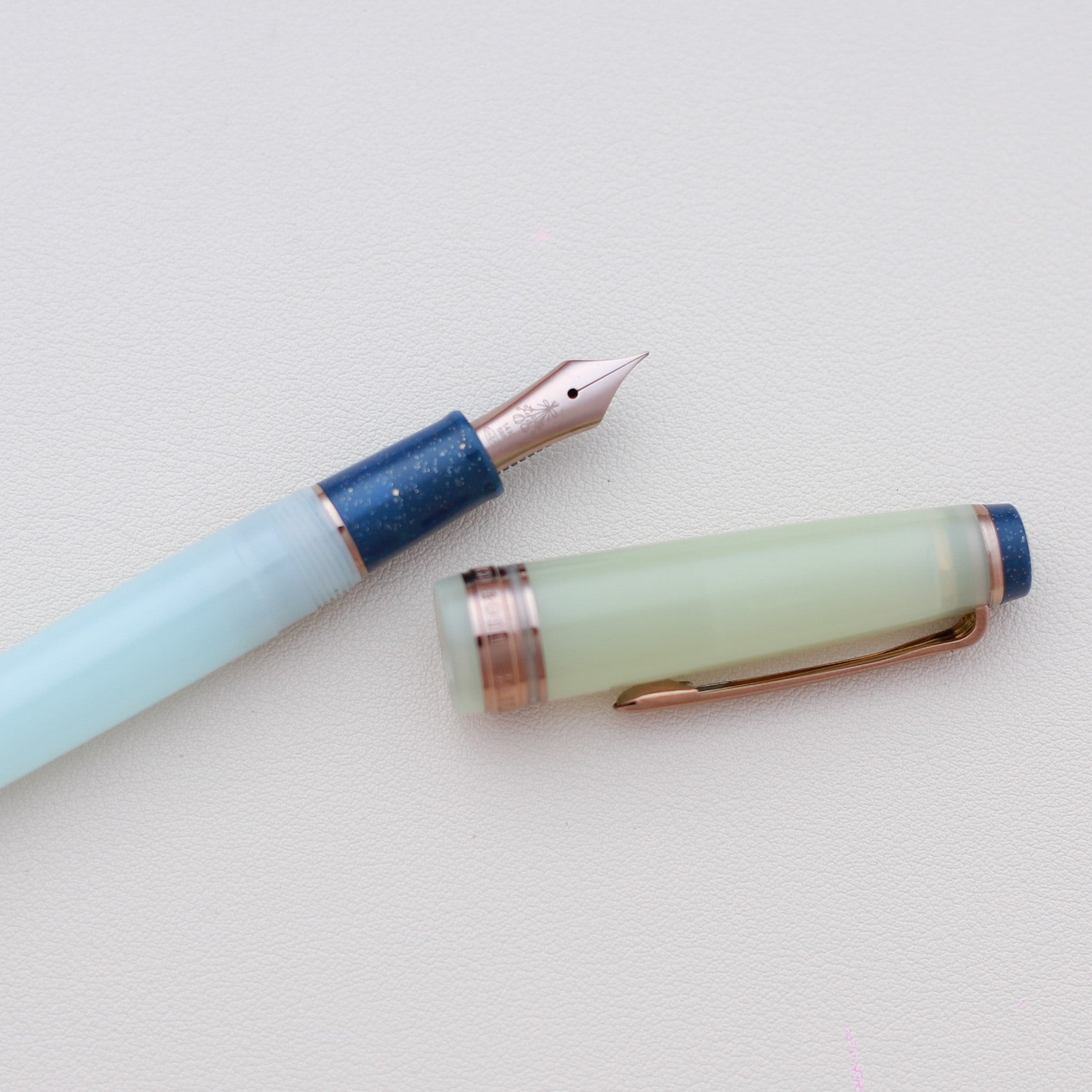 Sailor Pro Gear Slim Dried Flower Hydrangea 14K Gold