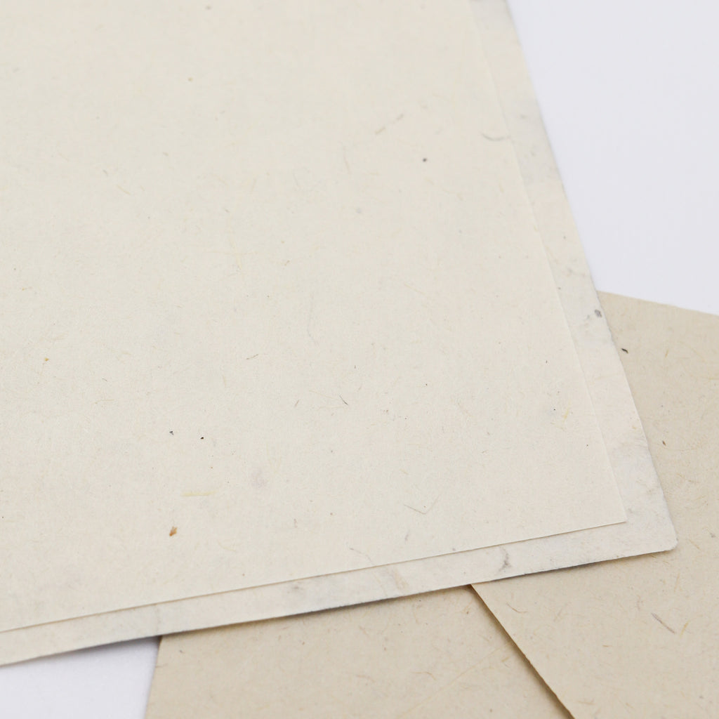Eco-Friendly Note Card Set