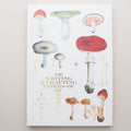 100 Writing & Crafting Papers of Mushrooms