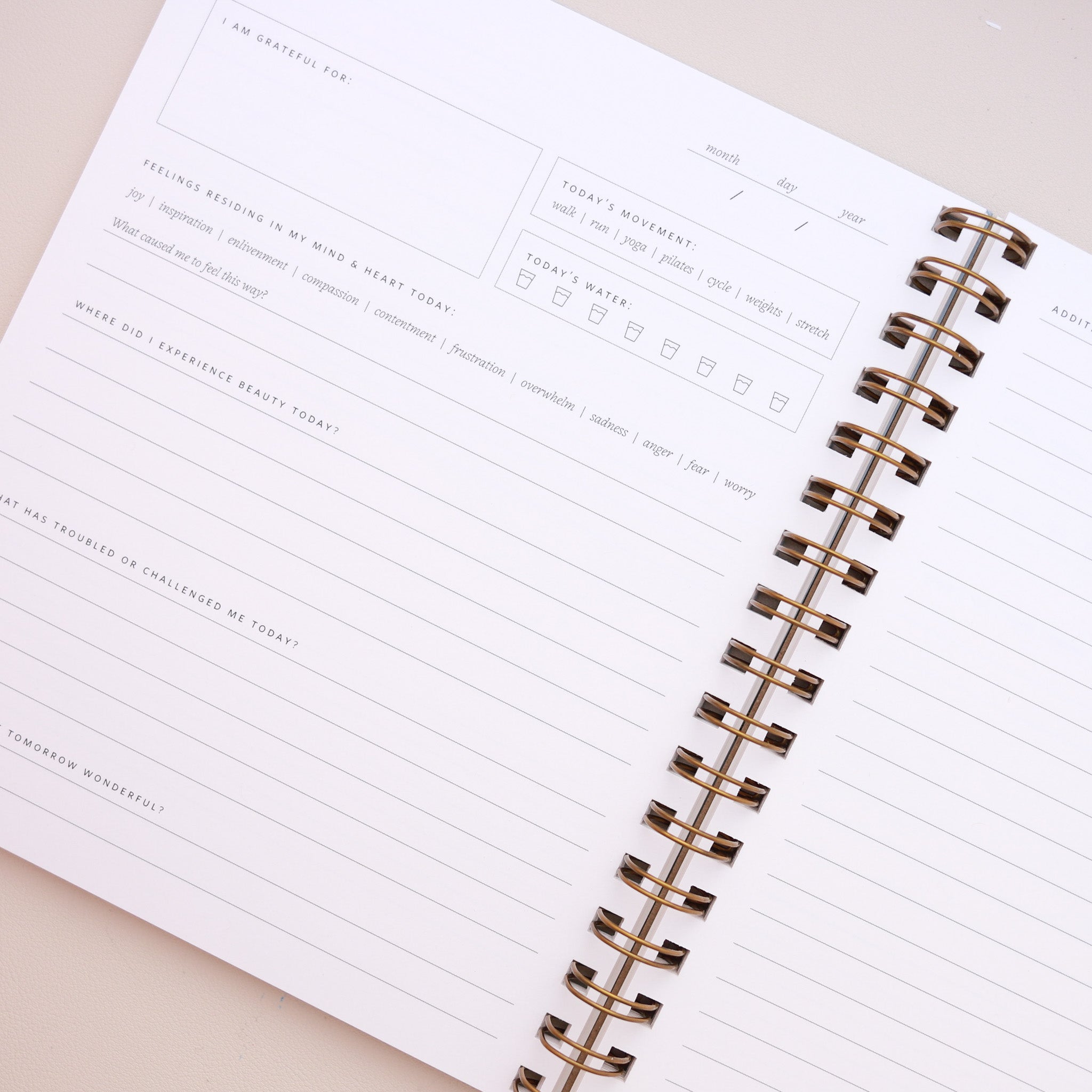 Ramona & Ruth Daily Pause Journal