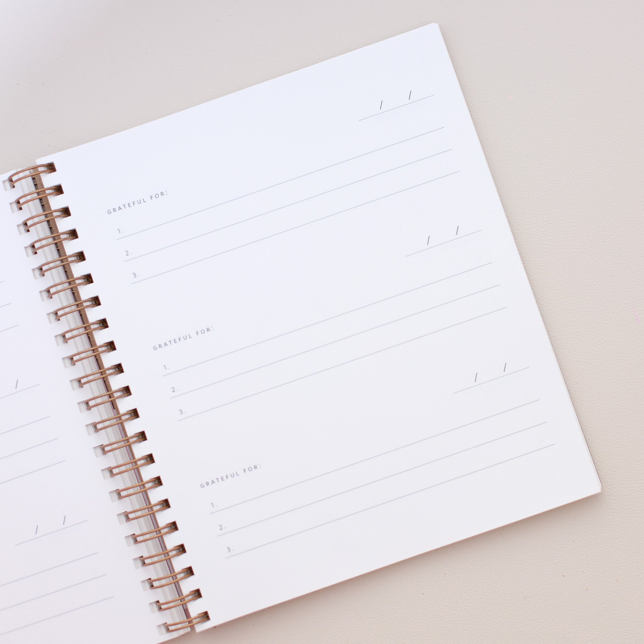 Ramona & Ruth Mini Gratitude Journal
