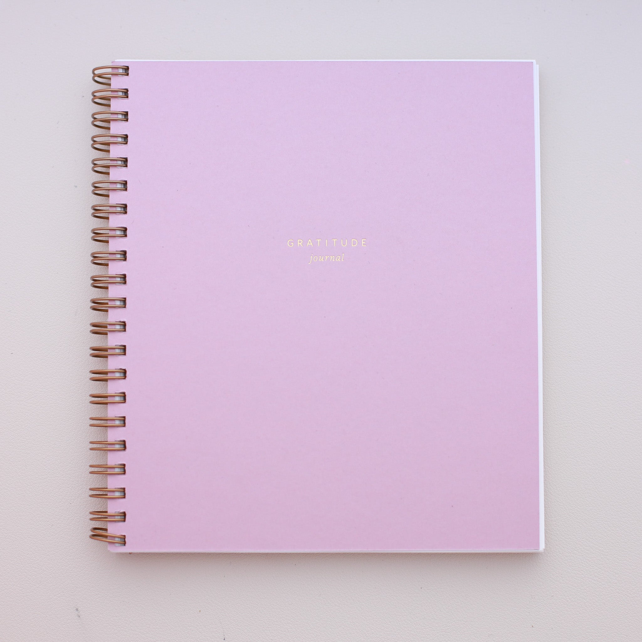 Ramona & Ruth Mini Gratitude Journal