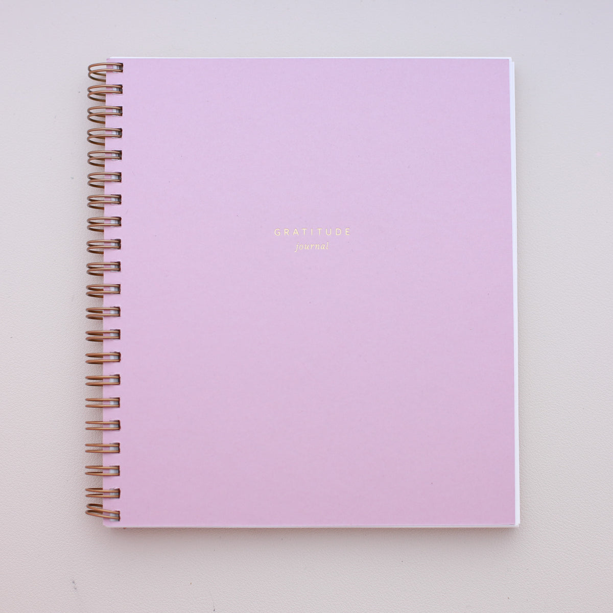 Ramona & Ruth Mini Gratitude Journal