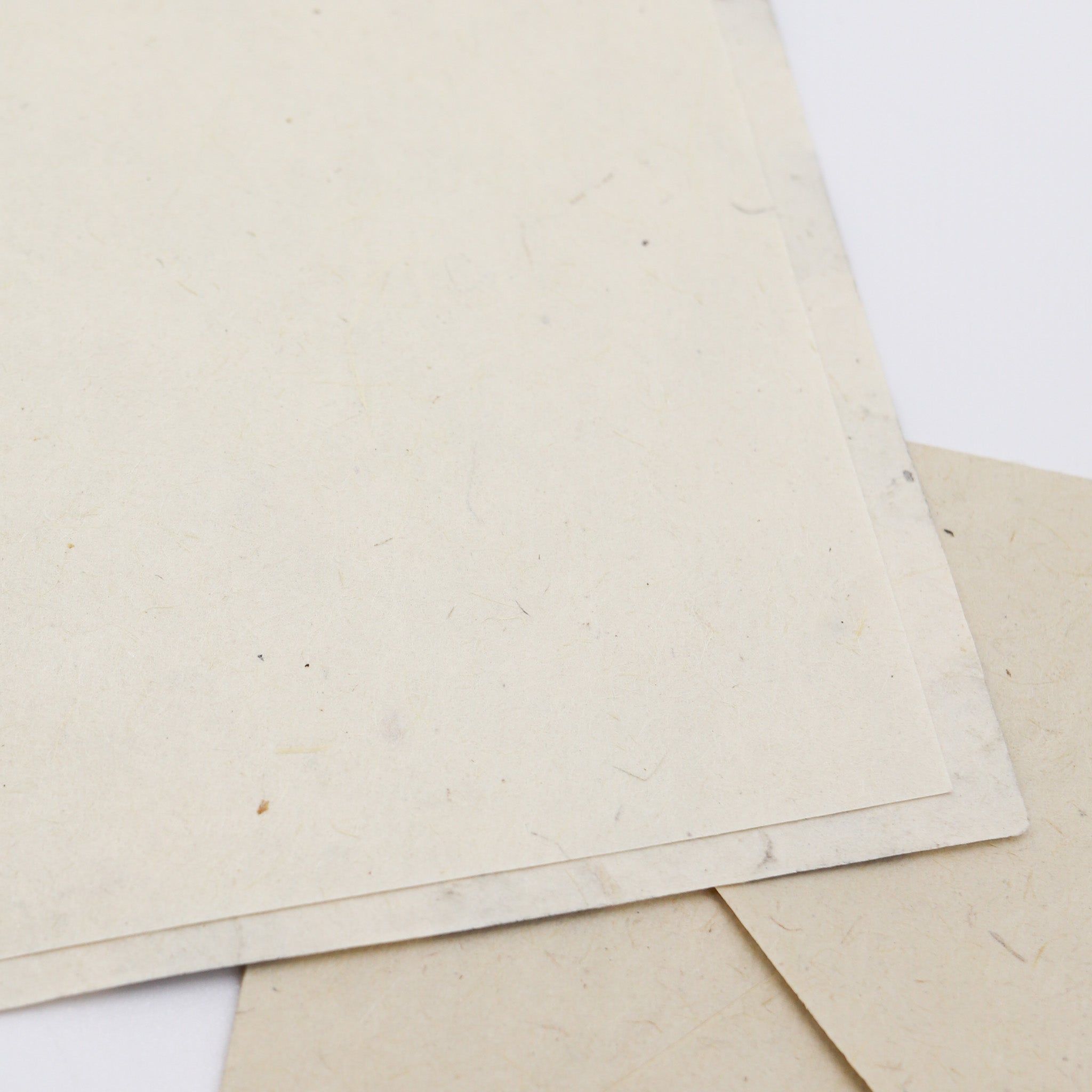 Eco-Friendly Note Card Set