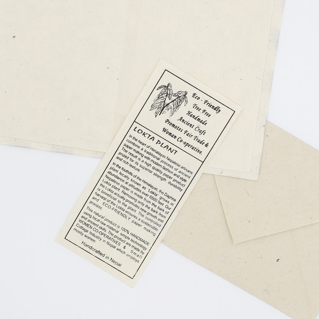 Eco-Friendly Note Card Set