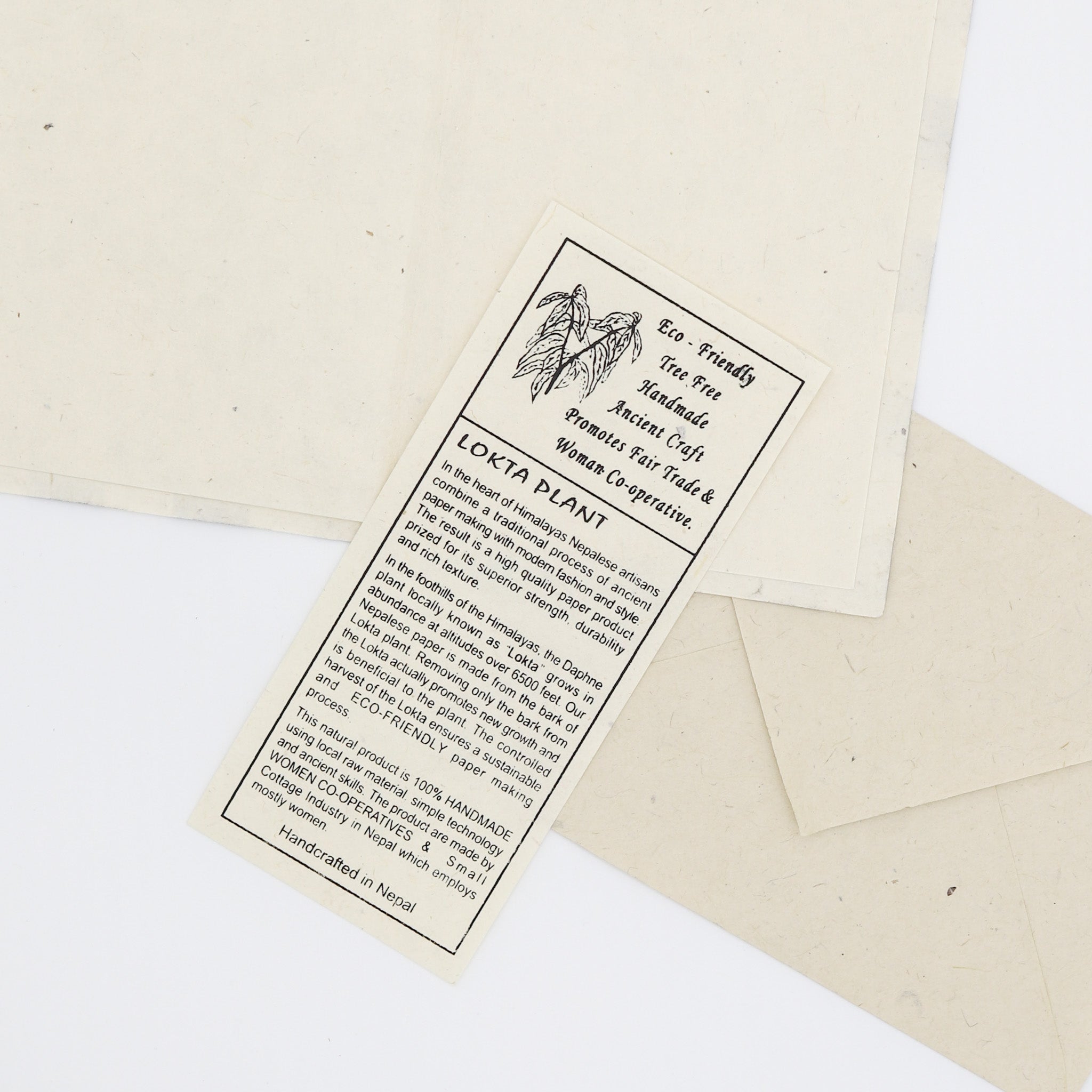 Eco-Friendly Note Card Set