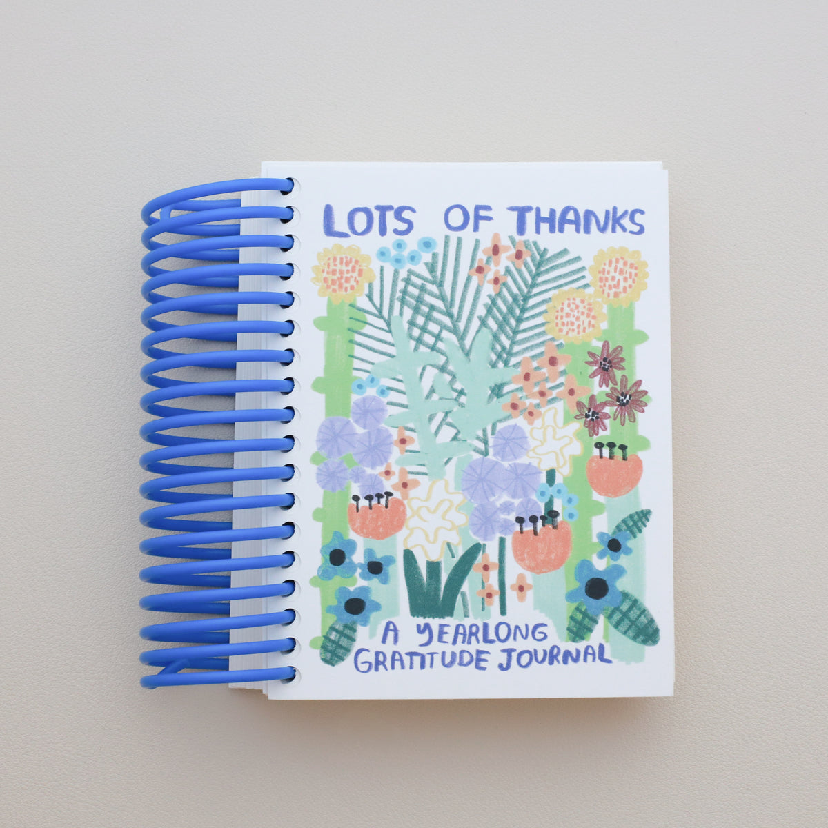 Lots of Thanks Gratitude Journal