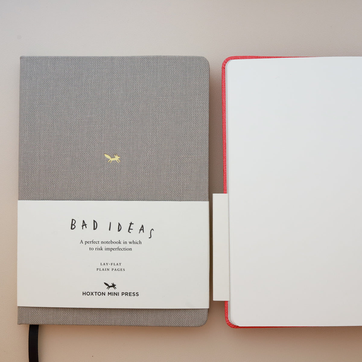 Notebook for Bad Ideas